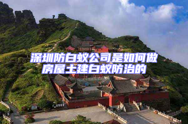 深圳防白蟻公司是如何做房屋土建白蟻防治的