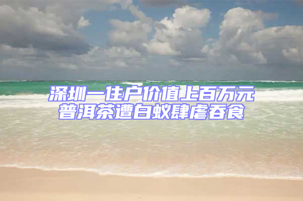 深圳一住戶價(jià)值上百萬元普洱茶遭白蟻肆虐吞食