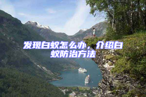 發現白蟻怎么辦，介紹白蟻防治方法