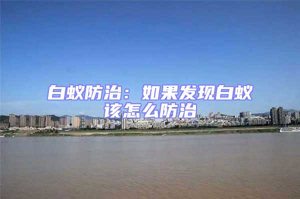 白蟻防治：如果發(fā)現(xiàn)白蟻該怎么防治