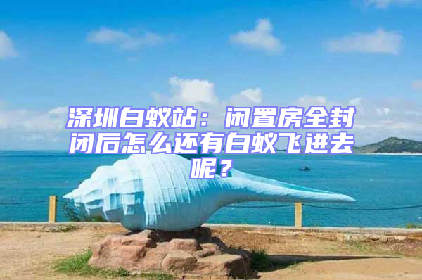 深圳白蟻站：閑置房全封閉后怎么還有白蟻飛進(jìn)去呢？