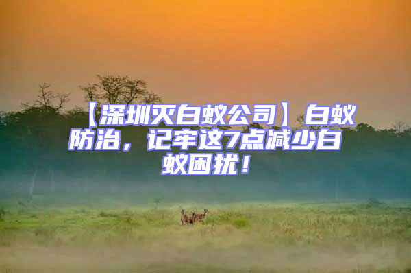 【深圳滅白蟻公司】白蟻防治，記牢這7點減少白蟻困擾！