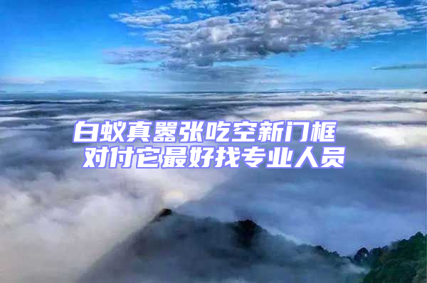 白蟻真囂張吃空新門框 對(duì)付它最好找專業(yè)人員