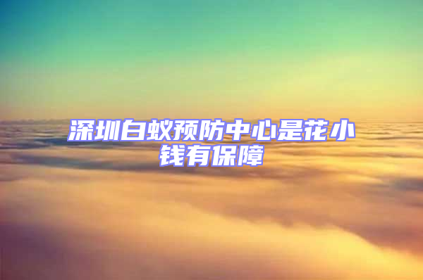 深圳白蟻預防中心是花小錢有保障