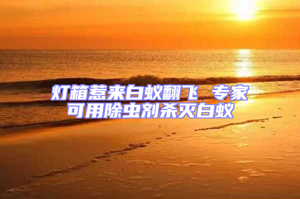 燈箱惹來(lái)白蟻翻飛 專(zhuān)家可用除蟲(chóng)劑殺滅白蟻