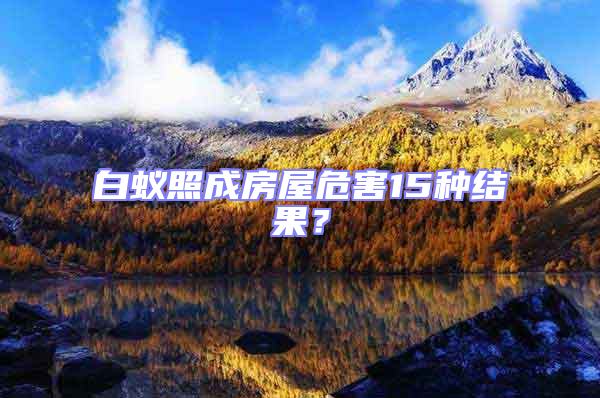 白蟻照成房屋危害15種結(jié)果？