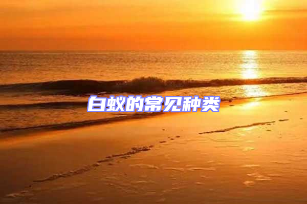 白蟻的常見(jiàn)種類(lèi)