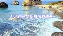杉木白蟻防治方法有哪些？