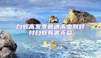 白蟻高發(fā)季普通殺蟲(chóng)劑對(duì)付白蟻有害無(wú)益
