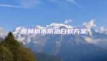 園林樹木防治白蟻方案