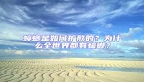 蟑螂是如何擴散的？為什么全世界都有蟑螂？