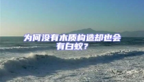為何沒有木質構造卻也會有白蟻？