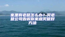 家里有老鼠怎么辦？滅老鼠公司告訴你家庭滅鼠好方法