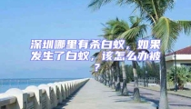 深圳哪里有殺白蟻，如果發生了白蟻，該怎么辦被？