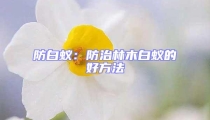 防白蟻：防治林木白蟻的好方法