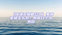 【深圳滅蟑螂公司】家有老鼠怎么辦？教你幾個小妙招