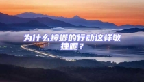 為什么蟑螂的行動這樣敏捷呢？