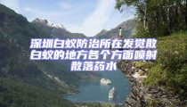 深圳白蟻防治所在發覺散白蟻的地方各個方面噴射散落藥水