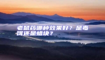 老鼠藥哪種效果好？是毒餌還是蠟塊？