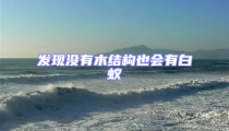 發(fā)現(xiàn)沒有木結(jié)構(gòu)也會有白蟻