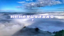 螞蟻到底是益蟲還是害蟲？