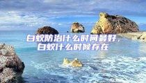 白蟻防治什么時間最好，白蟻什么時候存在