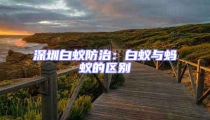 深圳白蟻防治：白蟻與螞蟻的區(qū)別
