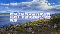 如何正確消滅進(jìn)入家里的螞蟻？專業(yè)滅螞蟻公司告訴你