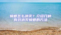 蟑螂怎么消滅？介紹幾種有效消滅蟑螂的方法
