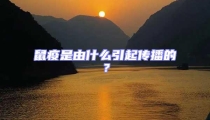 鼠疫是由什么引起傳播的？