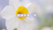 深圳滅蟲(chóng)公司