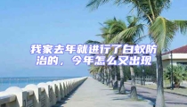 我家去年就進行了白蟻防治的，今年怎么又出現