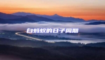 白螞蟻的日子周期