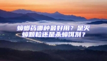 蟑螂藥哪種最好用？是滅蟑顆粒還是殺蟑餌劑？