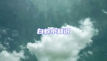 白蟻小知識(shí)
