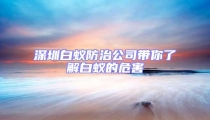 深圳白蟻防治公司帶你了解白蟻的危害