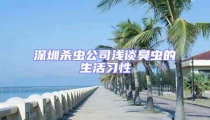 深圳殺蟲公司淺談臭蟲的生活習性