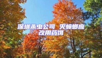 深圳殺蟲公司 滅蟑螂應(yīng)改用藥餌