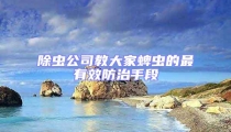 除蟲公司教大家蜱蟲的最有效防治手段