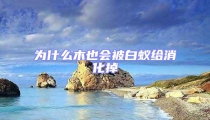 為什么木也會(huì)被白蟻給消化掉