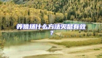 養(yǎng)殖場什么方法滅鼠有效？