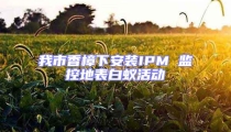 我市香樟下安裝IPM 監控地表白蟻活動