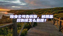 除蟲公司告訴你，被跳蚤咬傷該怎么處理？