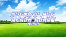 治白蟻用什么藥 殺白蟻藥 白蟻滅治藥 認準特效防治白蟻藥 白蟻藥械批發報價