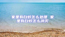 家里有白蟻怎么處理 家里有白蟻怎么消滅