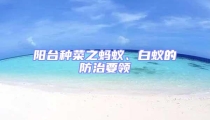 陽臺(tái)種菜之螞蟻、白蟻的防治要領(lǐng)