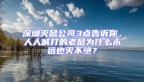 深圳滅鼠公司3點告訴你，人人喊打的老鼠為什么永遠也滅不絕？