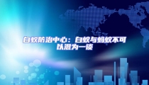 白蟻防治中心：白蟻與螞蟻不可以混為一談