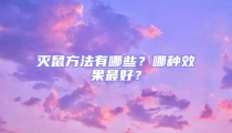 滅鼠方法有哪些？哪種效果最好？