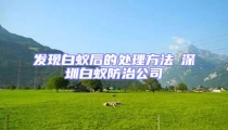 發現白蟻后的處理方法┋深圳白蟻防治公司┋